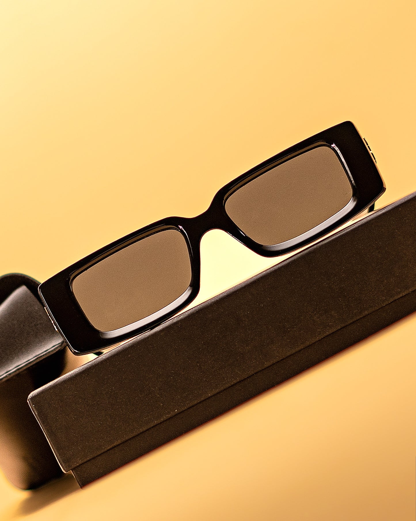 lunette 6