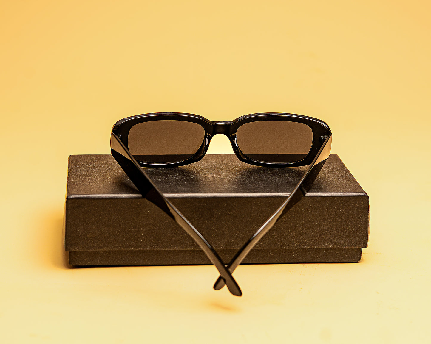lunette 6